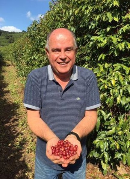 画像2: ブラジル　カルモデミナス  カルモ農園　アカイア (2)