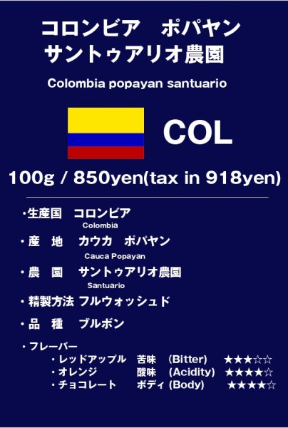 画像1: 「訪問農園」 コロンビア　サントゥアリオ農園 　レッドブルボン (1)