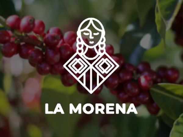 画像2: グアテマラ ウエウエテナンゴ　ラ・モレナ (2)